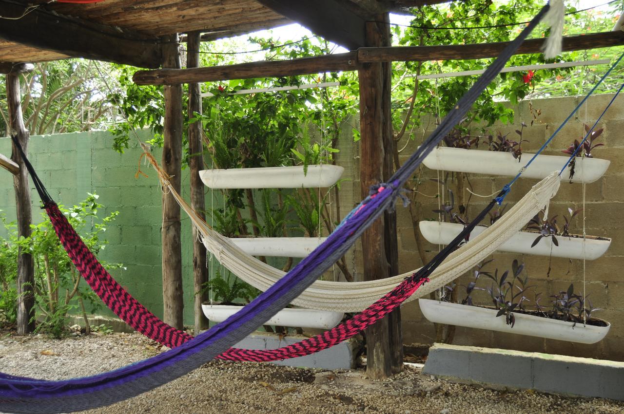 Lobo Inn Tulum Esterno foto