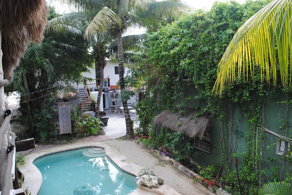 Lobo Inn Tulum Esterno foto
